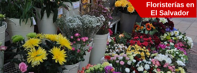 floristerias en el salvador, enviar flores a el salvador